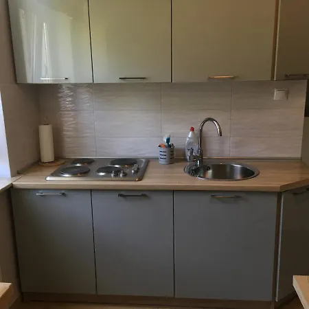 Apartament Olowianka- * Γκντανσκ