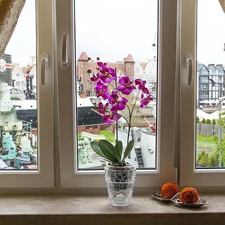 Apartament Olowianka- Apartman