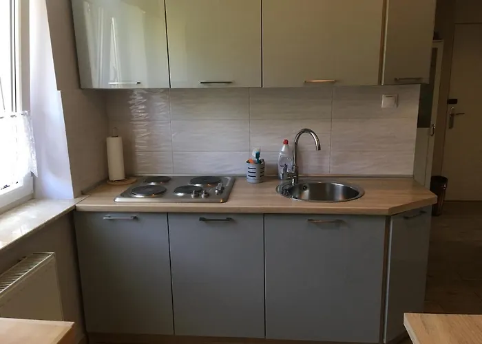 Apartament Olowianka- * Gdansk